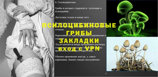 индика Абдулино