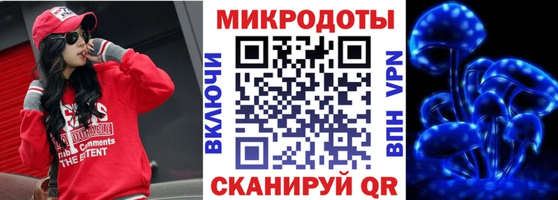 Псилоцибиновые грибы Cubensis Зуевка