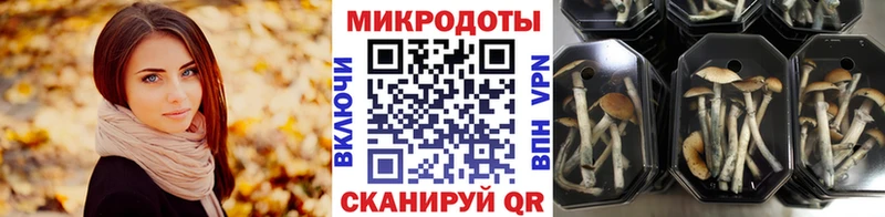 Галлюциногенные грибы Cubensis  Зуевка 
